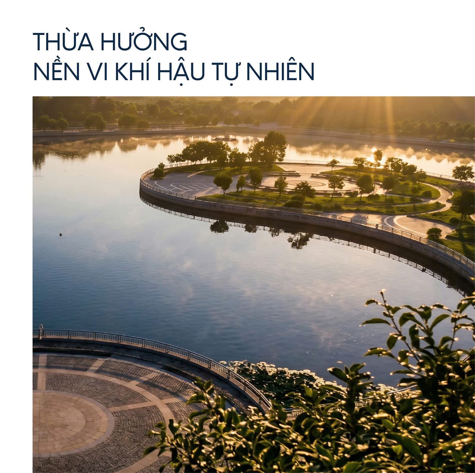 Tiện ích nội khu dự án D' Diamant Bleu